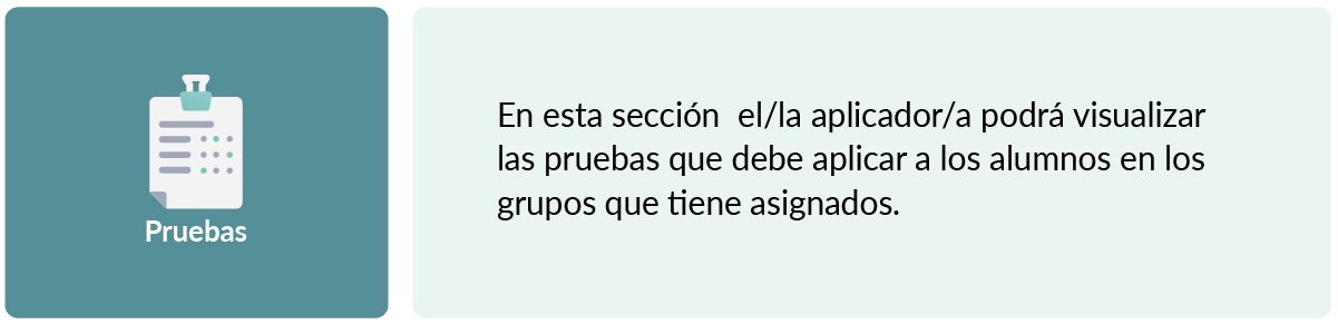 3_aplicador_pruebas.jpg